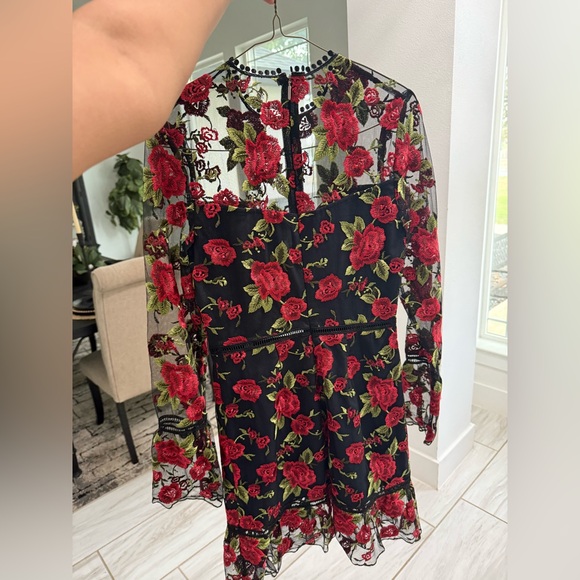 Beautiful rose dress by Saylor NY - Picture 10 of 10